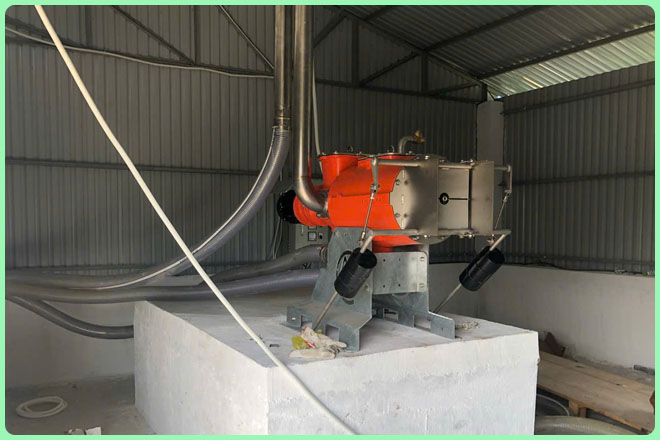 may ep phan heo cri man